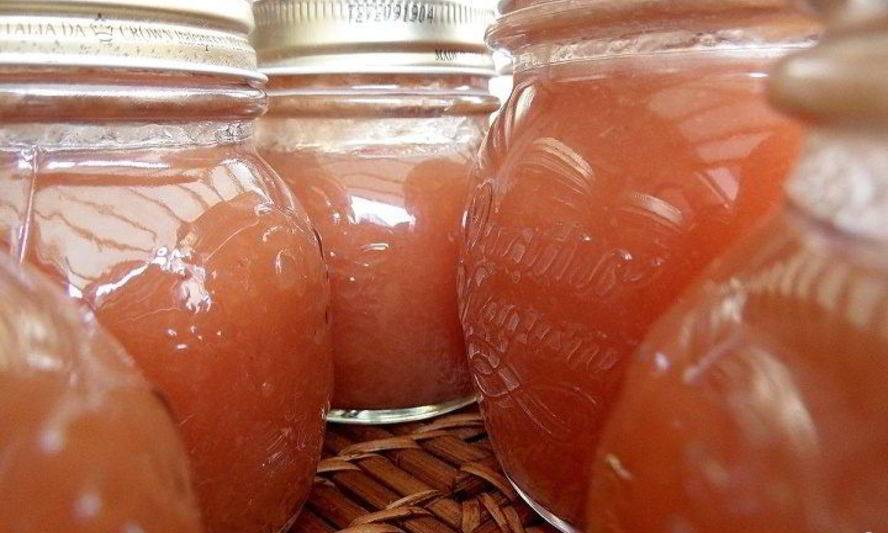 Пюре яблочное без сахара на зиму — 5 рецептов с фото пошагово