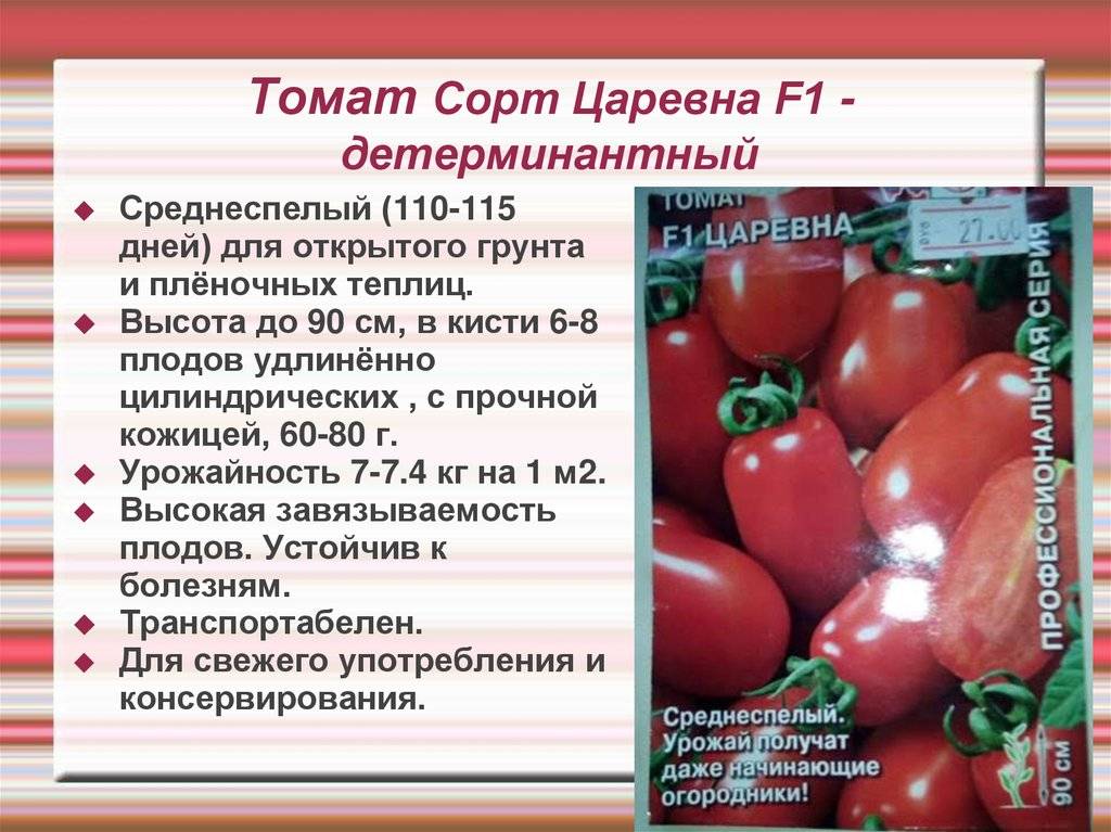 Лёжкий сорт для салатов и консервации — гибридный томат «мальва f1»