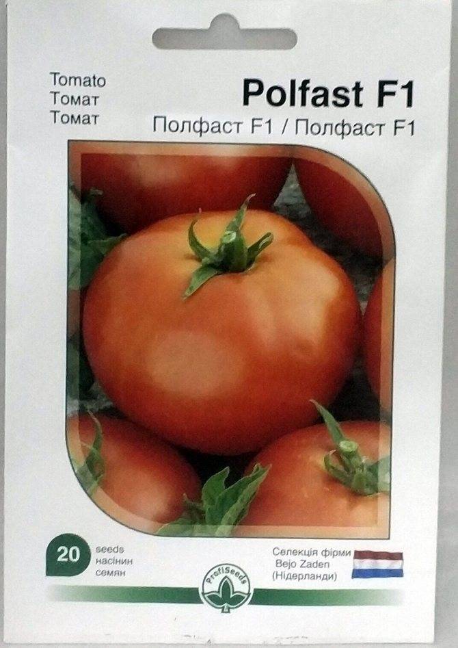 Высокоурожайный голландский гибрид томатов полфаст