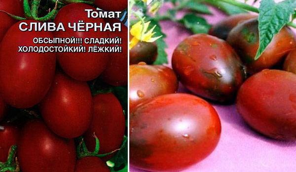 Описание сорта томата Слива Черная, его характеристика