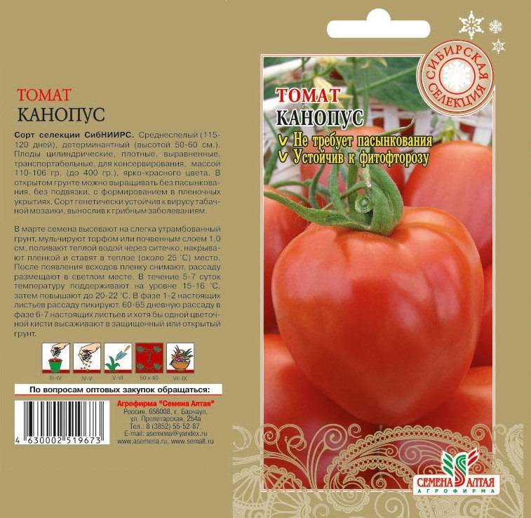 Томат очарование: характеристика и описание сорта, отзывы об урожайности помидоров, фото куста