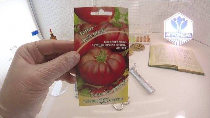 Характеристика и описание сорта томата Арбузный, его урожайность