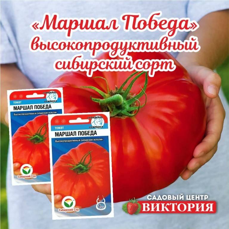 Заслуженный любимец многих огородников — томат гигант красный: описание сорта и его характеристики