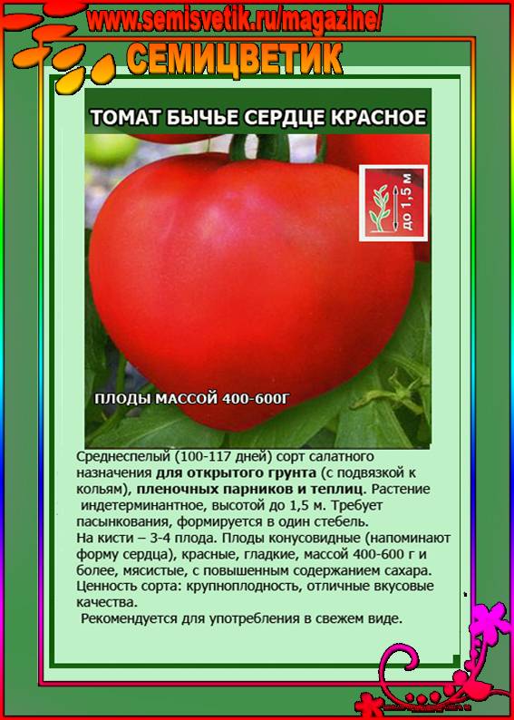 Описание сорта томата желтая и красная сахарная слива, его характеристика