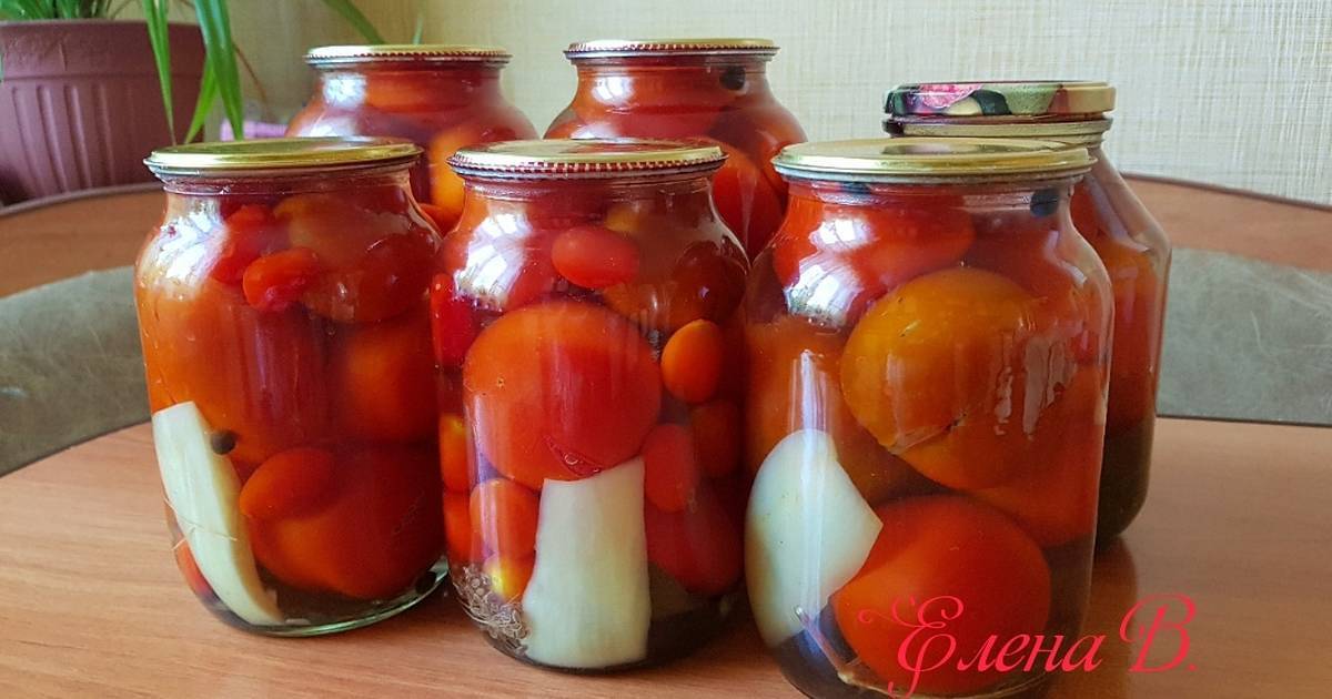 Простая засолка помидор – фото-рецепт и его 10 вариаций