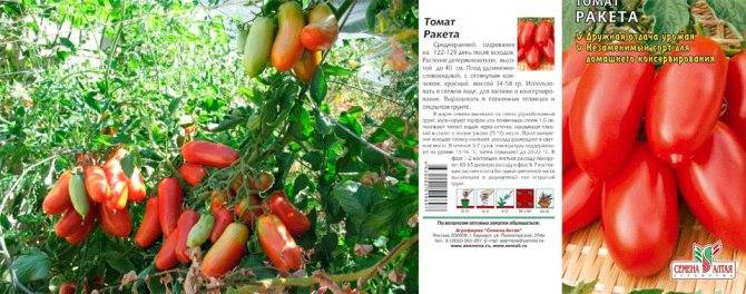 Томат ракета: характеристика и описание сорта, отзывы тех кто выращивал помидоры, видео и фото