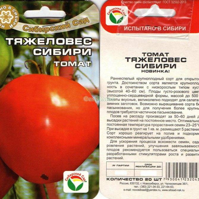 Томат тяжеловес сибири: характеристика и описание сорта, урожайность и фото