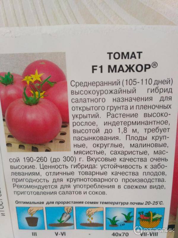 Томат мажор: описание и характеристика, отзывы, фото | tomatland.ru