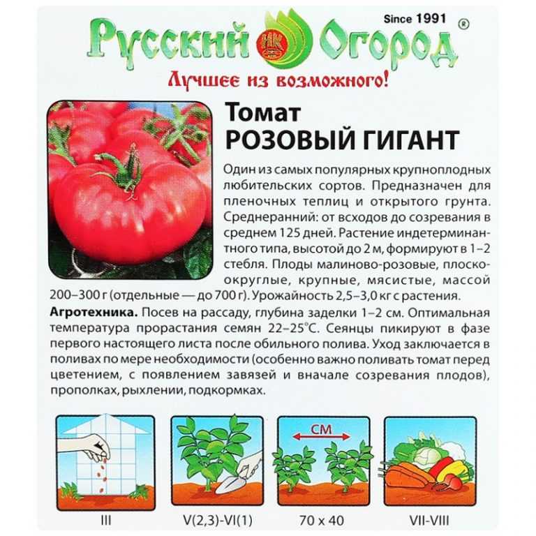 Крупные сорта помидоров для теплиц и открытого грунта