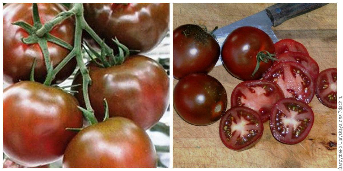 Томат немецкая красная клубника: описание сорта, выращивание и урожайность с фото