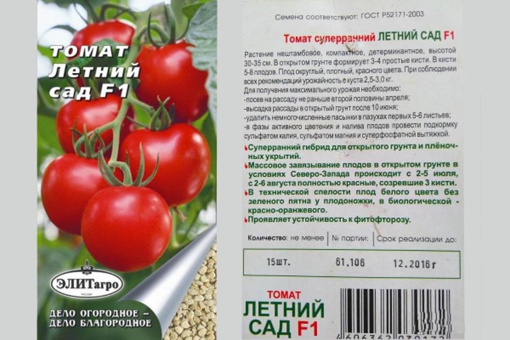 Описание сорта томата Садик f1, особенности выращивания и урожайность