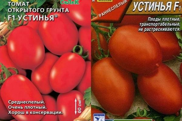 Описание сорта томата Устинья, особенности выращивания и урожайность