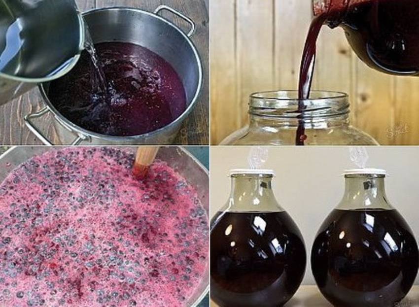 Вино из винограда в домашних условиях: самые простые рецепты виноградного вина