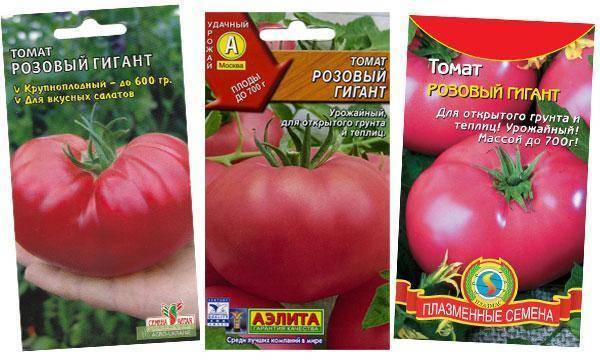 Как вырастить томат бугай розовый