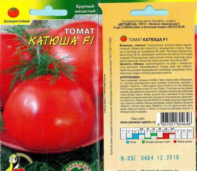 Прекрасный выбор — томат катя
