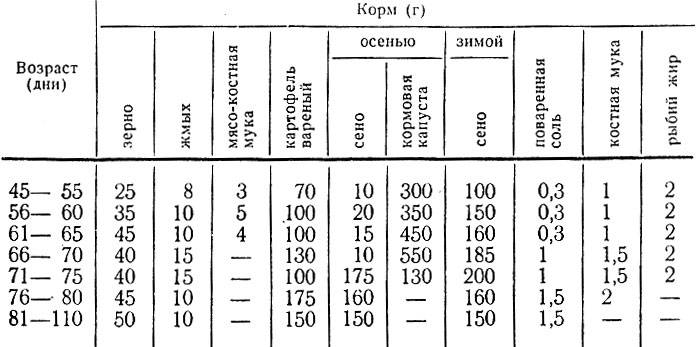 ᐉ сколько весит кролик: таблица веса разных пород по месяцам - zooon.ru
