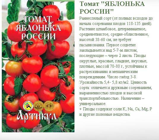 Описание гибридного томата победитель, выращивание и дальнейший уход