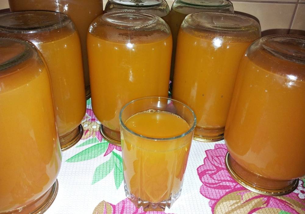 Абрикосовый сок на зиму - 6 рецептов в домашних условиях с пошаговыми фото