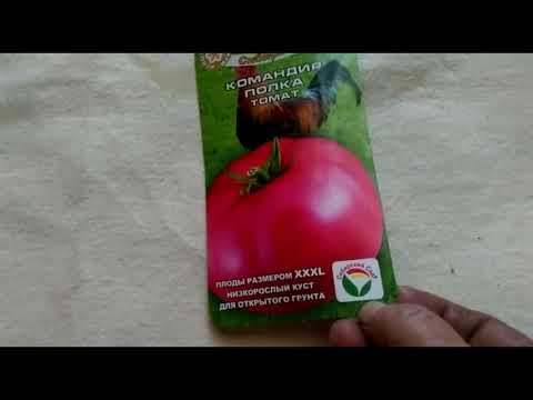Характеристики и описание зеленого томата антоновка медовая, выращивание и уход