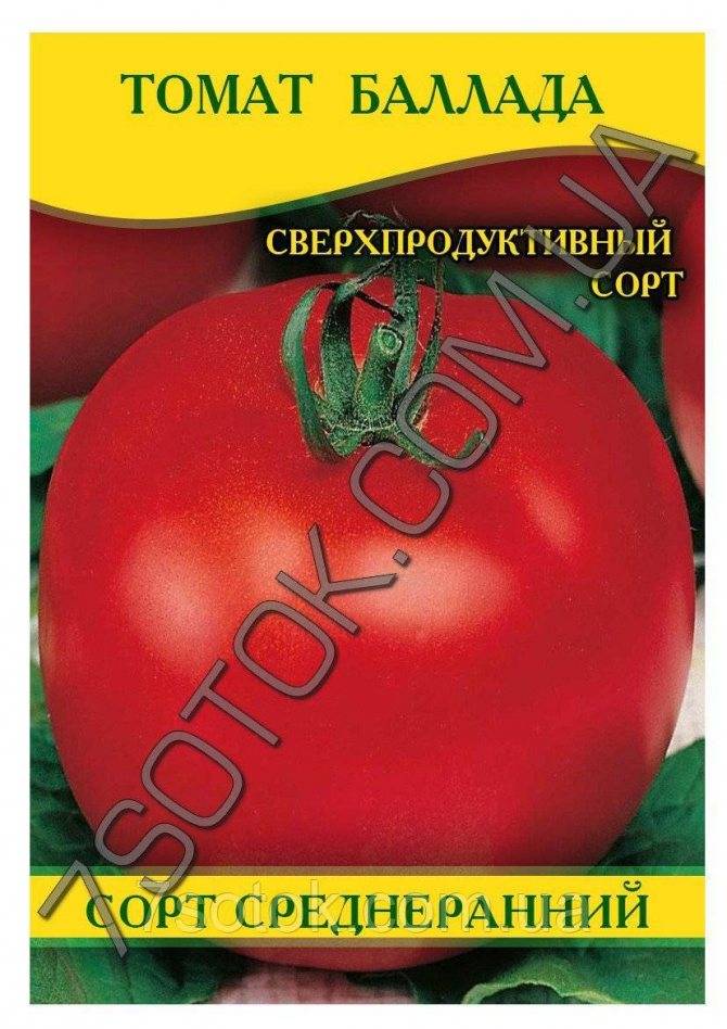 Описание гибридного томата победитель, выращивание и дальнейший уход