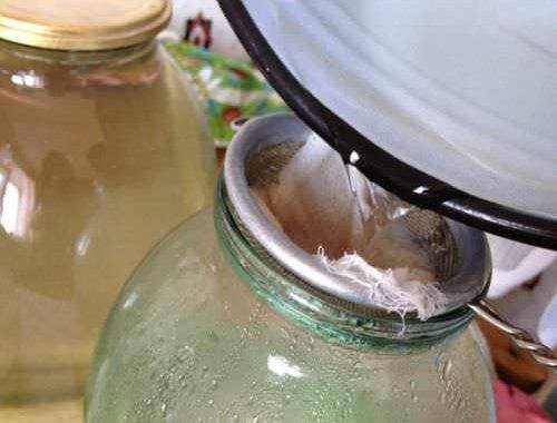 Топ 13 рецептов, как в домашних условиях законсервировать березовый сок на зиму