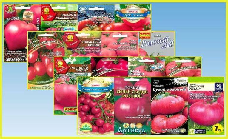 Томат розовый король: характеристика и описание сорта, урожайность, отзывы - все о помидорках