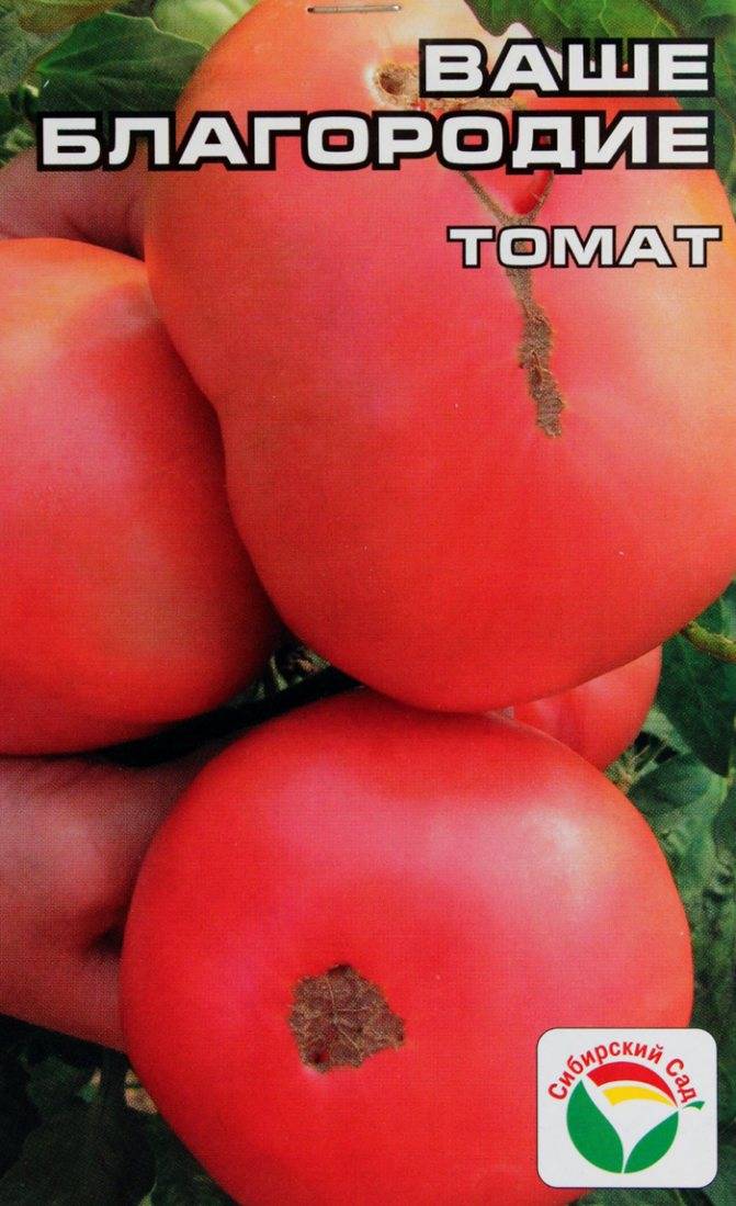 Томат ваше благородие: описание и характеристика сорта, урожайность с фото