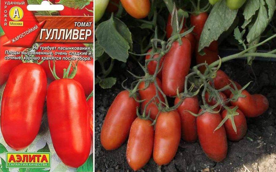 Описание перцевидного томата бонанза и агротехника выращивания растения