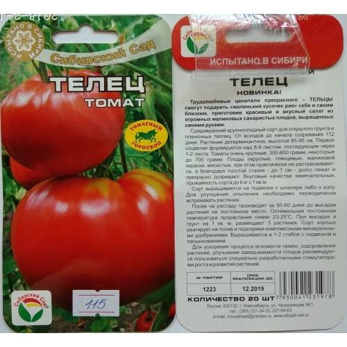 Томат джина: описание и характеристика сорта, фото помидоров, отзывы огородников и нюансы самостоятельного выращивания