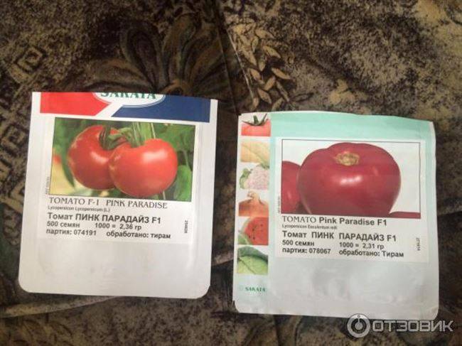 Урожайный гибрид родом из голландии — томат пинк гел f1: описание сорта и его характеристики