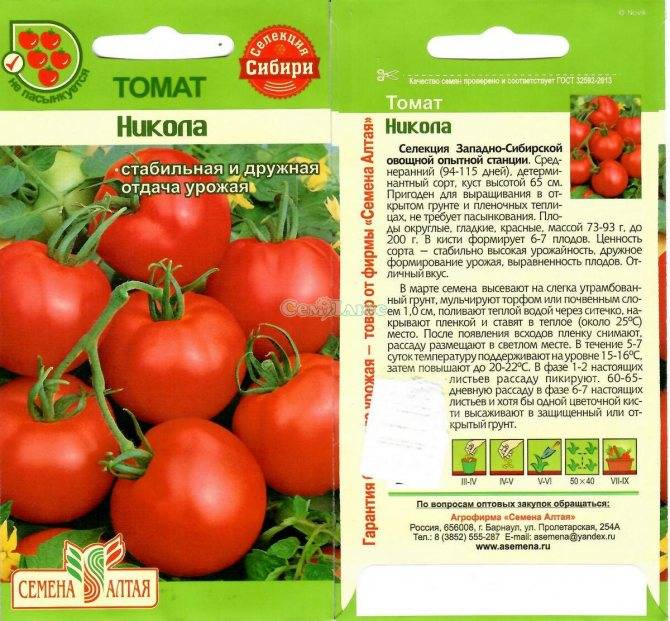 Томат никола: характеристика и описание сорта с фото и видео, урожайность помидора, отзывы тех, кто сажал