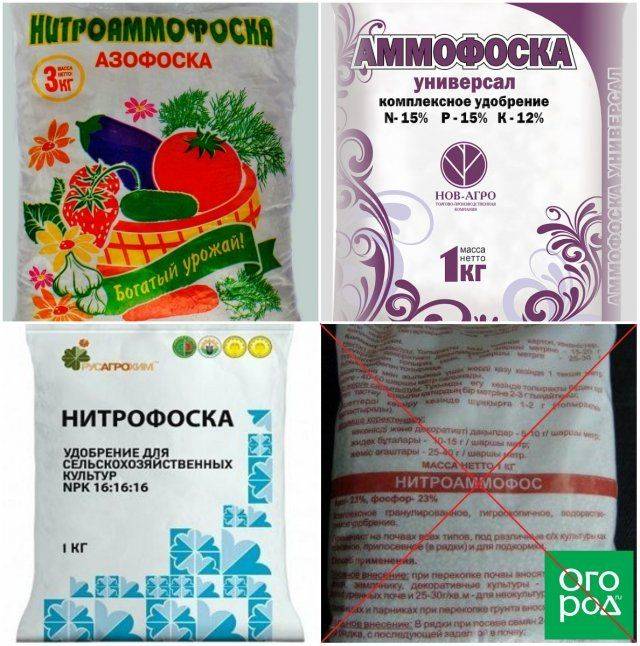 Аммофос | справочник пестициды.ru
