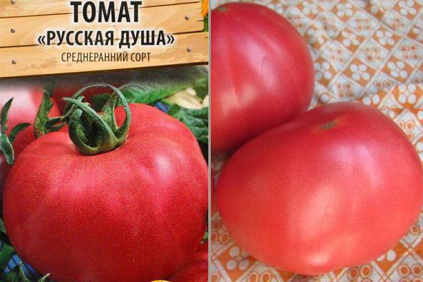 Томат "русский размер" f1: описание сорта помидоров, характеристики, фото и выращивание русский фермер