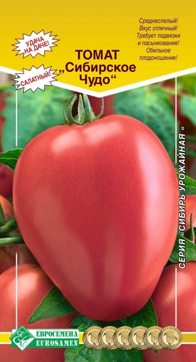 Томат сибирское чудо: характеристика и описание сорта, отзывы тех кто сажал помидоры об их урожайности, фото куста | сортовед