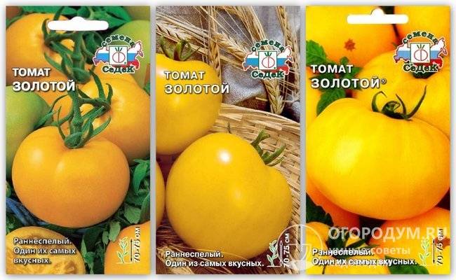Томат золотой бык: характеристика и описание сорта, фото растения, отзывы об урожайности помидоров