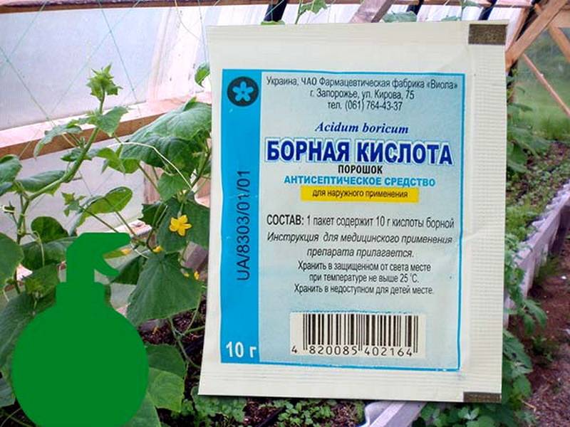 Борная кислота: применение в садоводстве на supersadovnik.ru