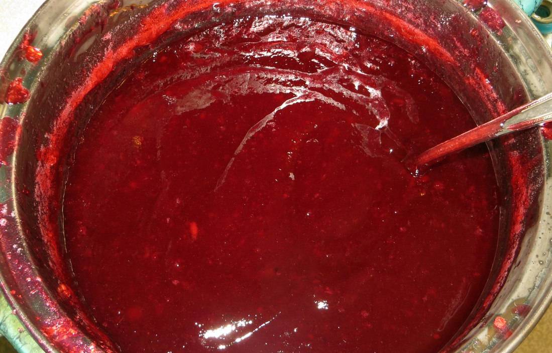 Пятиминутка из красной смородины на зиму - 7 простых рецептов желе, варенья из красной смородины с фото пошагово
