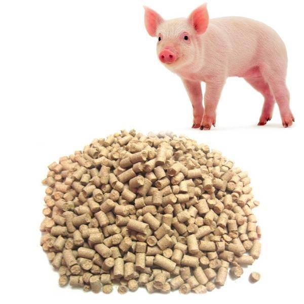 Комбикорм для свиней: описание, разновидности, рецепты
