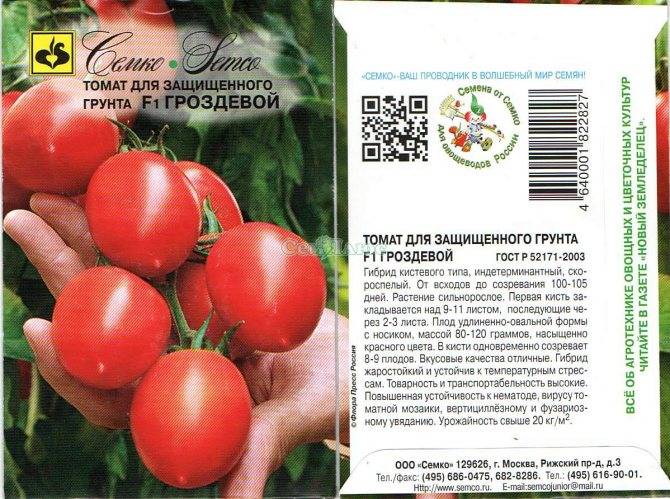 Гарантированный урожай в самую холодную погоду — томат 100 процентов f1: описание сорта и характеристики
