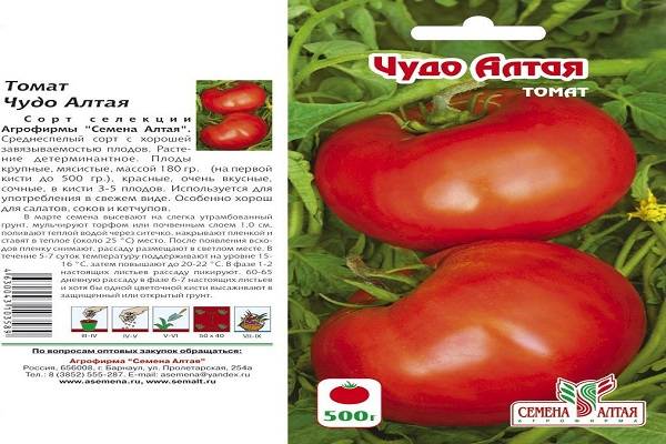 Великан с долгим плодоношением — томат гигант новикова: описание сорта и его характеристики