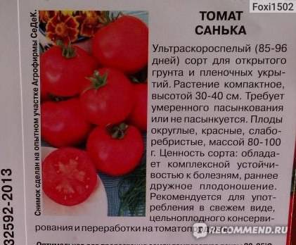 Характеристика сорта томат Полонез и его описание