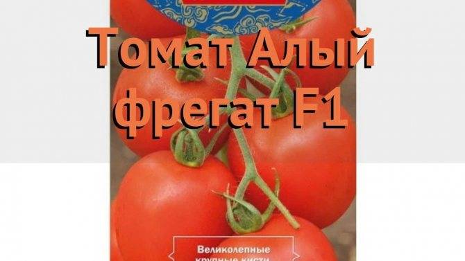 Купить томат алый фрегат f1(1уп-1000шт) (инкруст,сем), не указан, в пензе и с доставкой по россии, цена томат алый фрегат f1(1уп-1000шт) (инкруст,сем), отзывы покупателей, регламент применения, интерн