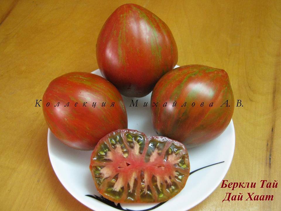 Тайтл: томат сердце беркли в стиле тай-дай: описание сорта, характеристика, выращивание, отзывы, фото