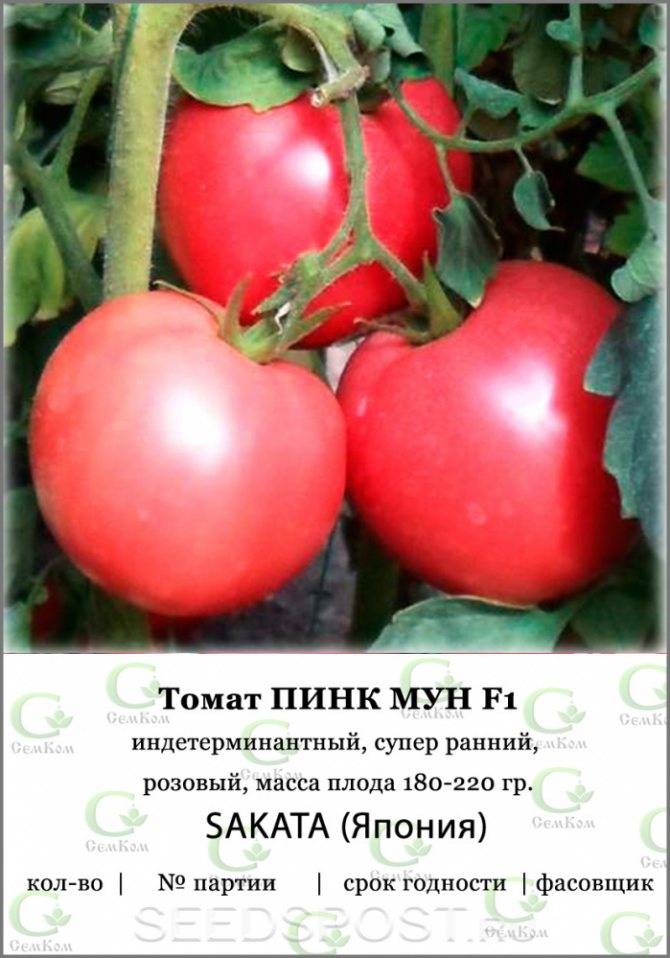 Как правильно выращивать помидоры пинк парадайз - сад и огород