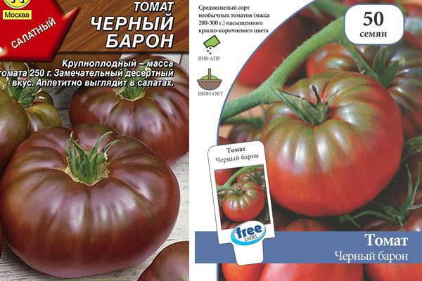 Сладкий томат груша черная — особенности и описание сорта, секреты выращивания, отзывы
