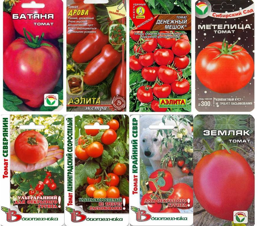 Лучшие сорта томатов для урала для открытого грунта и теплиц, их описание, фото и отзывы