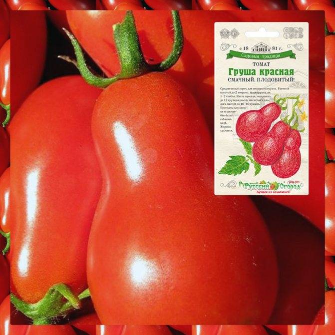 Лучшие и урожайные сорта томатов для беларуси в теплице и открытом грунте
