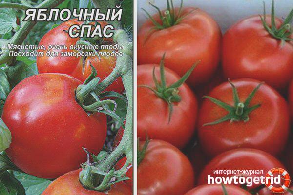 Томаты сорта яблочные названия описание - агро журнал dachnye-fei.ru