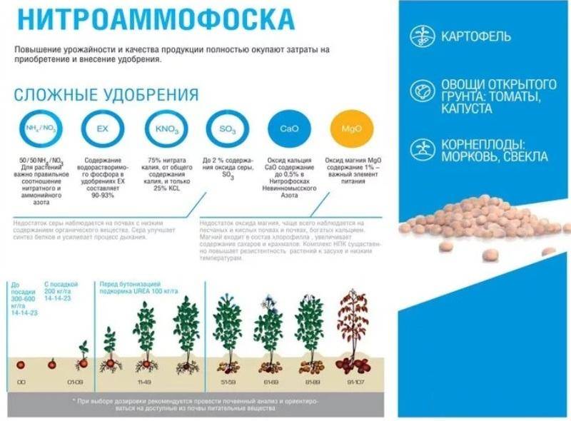 Аммофоска | справочник пестициды.ru