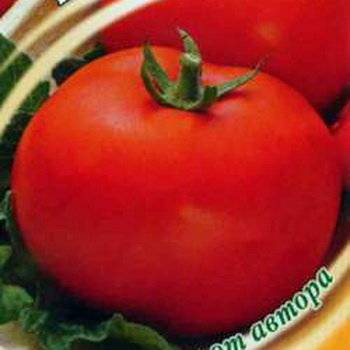 Описание томата дородный, агротехника выращивания и отзывы о сорте